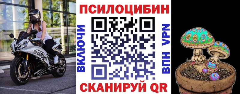 Псилоцибиновые грибы Cubensis  сколько стоит  Светлогорск 